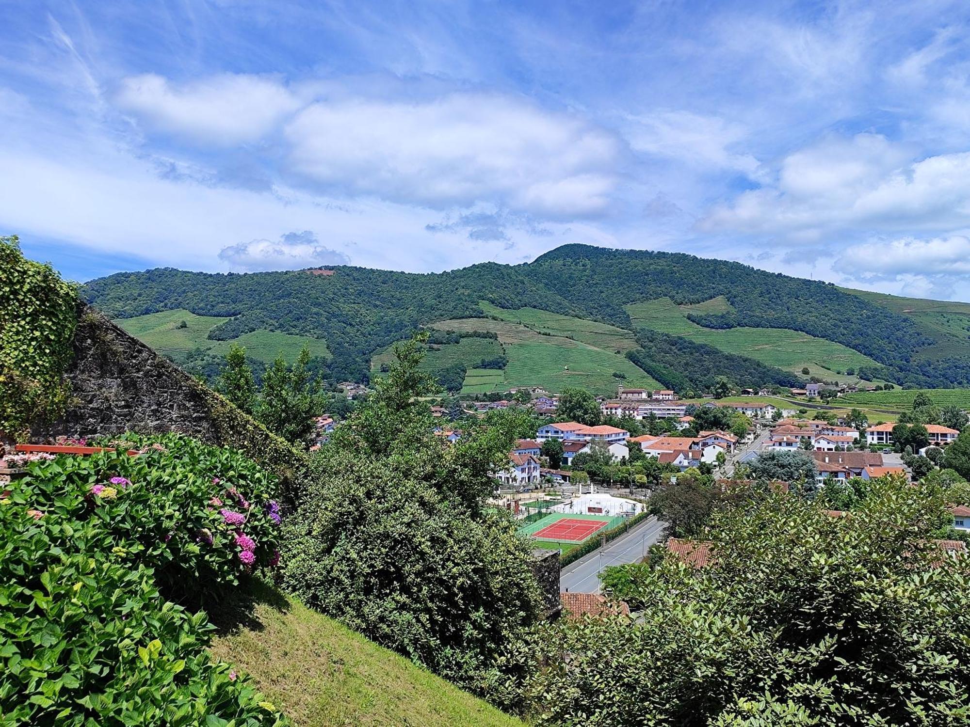 L'Auberge Du Pelerin - St Jean Pied De Port Saint-Jean-Pied-de-Port Kültér fotó