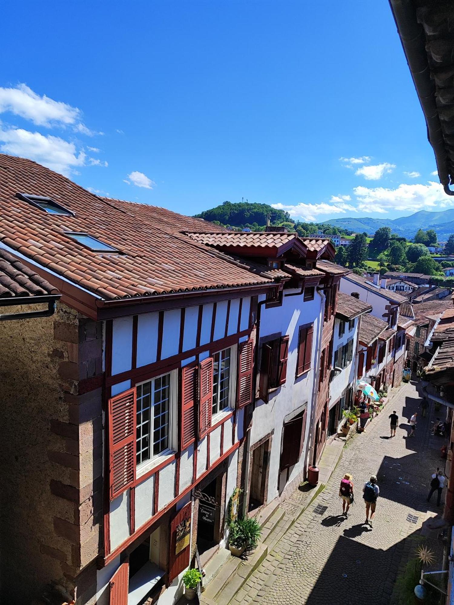 L'Auberge Du Pelerin - St Jean Pied De Port Saint-Jean-Pied-de-Port Kültér fotó