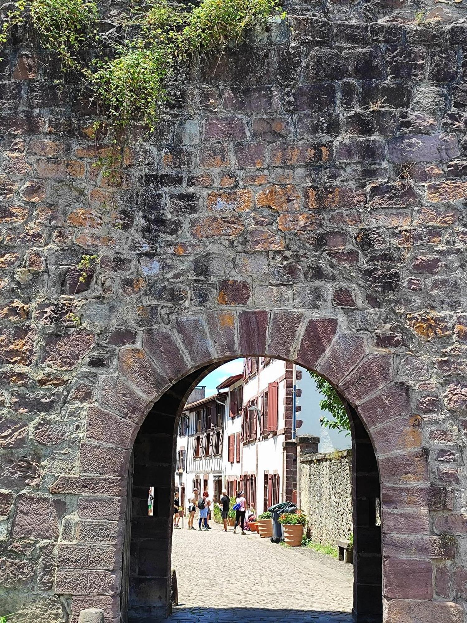 L'Auberge Du Pelerin - St Jean Pied De Port Saint-Jean-Pied-de-Port Kültér fotó