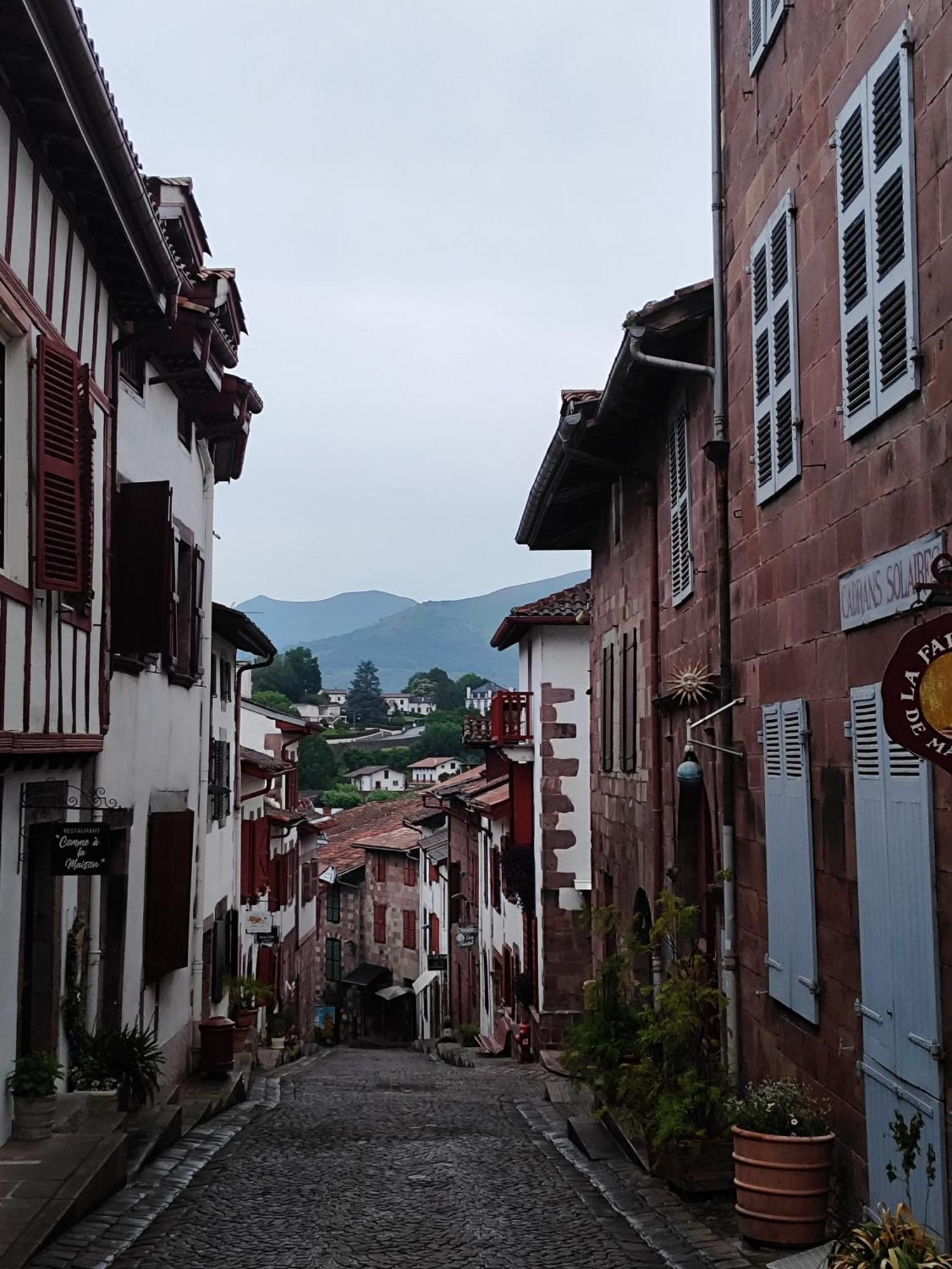 L'Auberge Du Pelerin - St Jean Pied De Port Saint-Jean-Pied-de-Port Kültér fotó